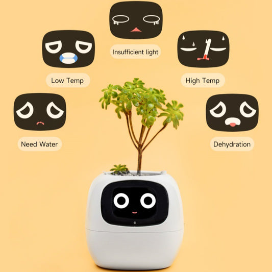 Creative Gift - Cute Ivy Robot Flower Pot