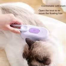 Pet Spray Massage Steam Comb
