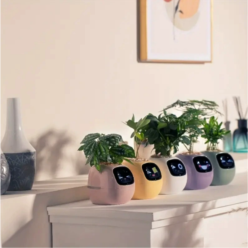 Creative Gift - Cute Ivy Robot Flower Pot