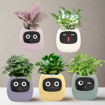 Creative Gift - Cute Ivy Robot Flower Pot