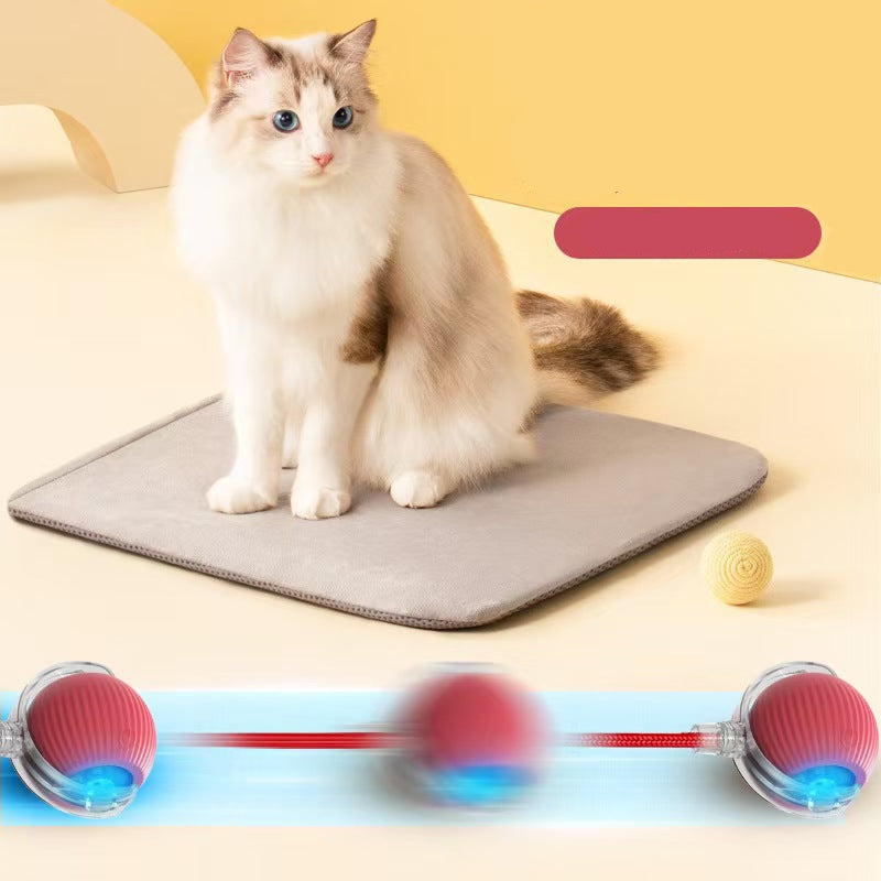 Cat sitting on a mat with a toy in the foreground, against a yellow background.