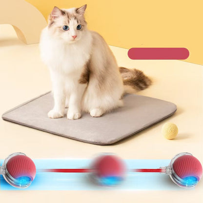Cat sitting on a mat with a toy in the foreground, against a yellow background.