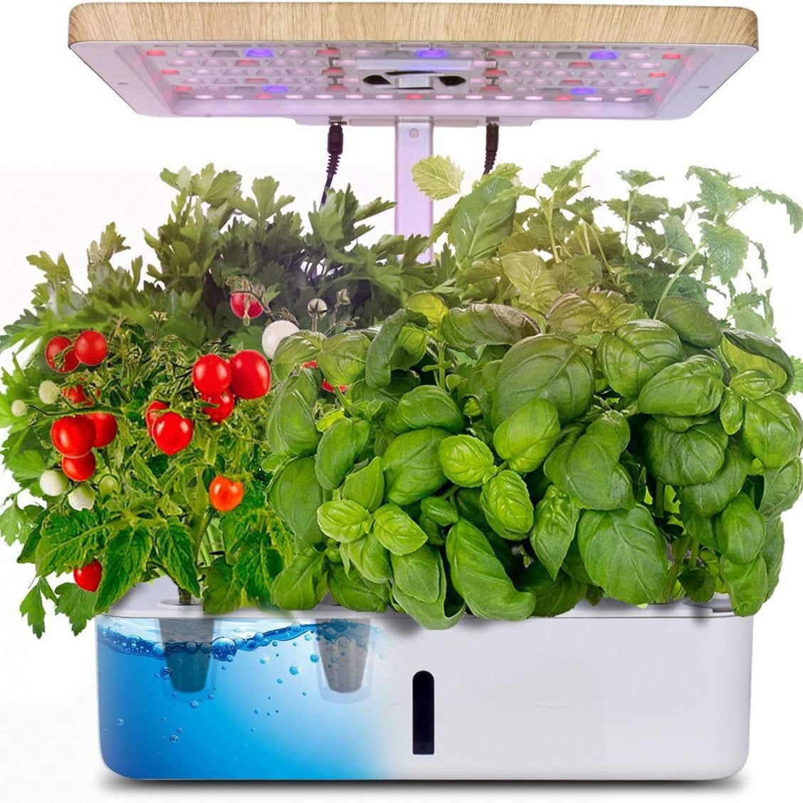 Z202 Smart Hydroponic Vegetable and Flower Planter Full Spectrum Plant Grow Light Micro Landscape Amazon Choice