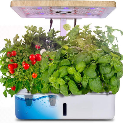 Z202 Smart Hydroponic Vegetable and Flower Planter Full Spectrum Plant Grow Light Micro Landscape Amazon Choice
