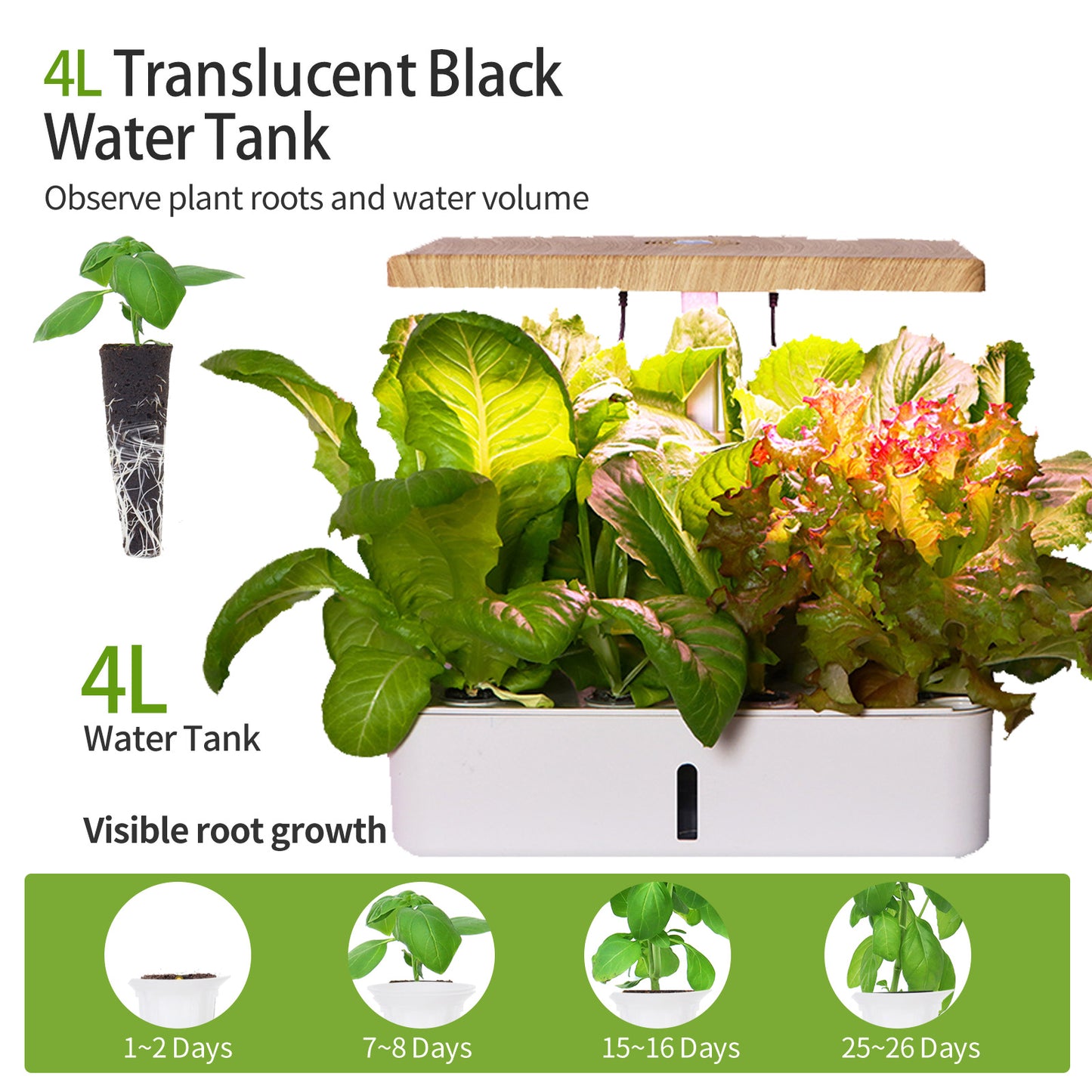 Z202 Smart Hydroponic Vegetable and Flower Planter Full Spectrum Plant Grow Light Micro Landscape Amazon Choice