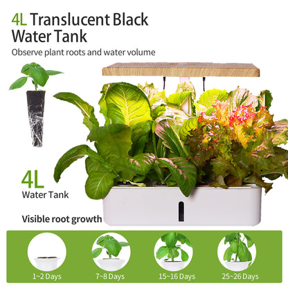 Z202 Smart Hydroponic Vegetable and Flower Planter Full Spectrum Plant Grow Light Micro Landscape Amazon Choice