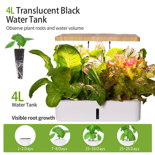 Z202 Smart Hydroponic Vegetable and Flower Planter Full Spectrum Plant Grow Light Micro Landscape Amazon Choice
