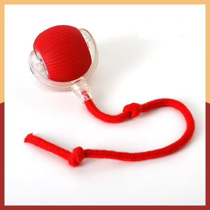 Red silicone cat ball toy with a red rope on a white background