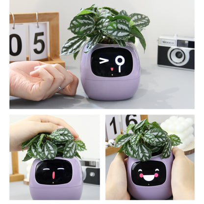 Creative Gift - Cute Ivy Robot Flower Pot