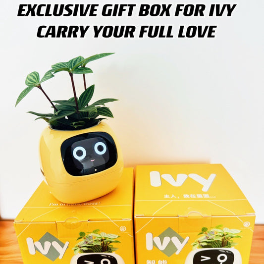 Creative Gift - Cute Ivy Robot Flower Pot