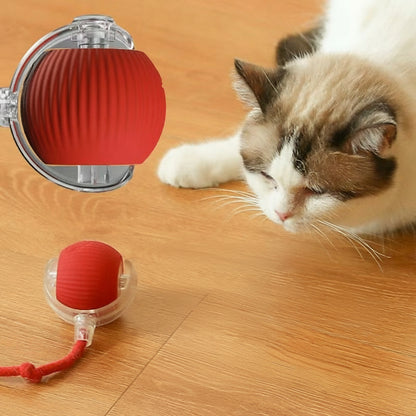 Cat interacting with a red and transparent ball toy on a wooden floor