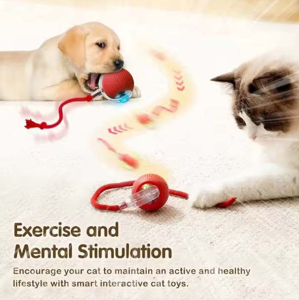 Cat Ball Toy with Rope