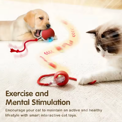 Cat Ball Toy with Rope